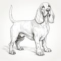 Detailed Shading: Black And White Vector Illustration Of A Basset Hound