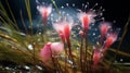 Photorealistic Macro Of Rain Drops On Pink Flowers