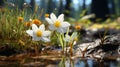 Photorealistic Macro Of Three White Flowers By A Stream