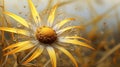 Photorealistic Macro Of A Yellow Daisy With Water Droplets