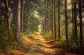 Photorealistic picture, a road in a summer forest, a pine forest generated by AI, generative assistant