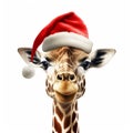 Photorealistic Portrait Of Giraffe Wearing Santa Hat
