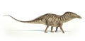 Photorealistic representation of an Amargasaurus dinosaur. Side Royalty Free Stock Photo