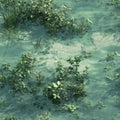 Photorealistic seamless texture of shallow freshwater pond Royalty Free Stock Photo