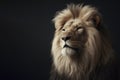 photorealistic studio portrait of a Male Lion on black background. ai generative