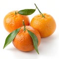 Photorealistic Sweet Oranges isolated on transparent background Royalty Free Stock Photo