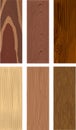 Photorealistic types of wood