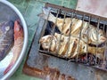 Photos of barbecued fish