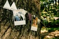 Photos of couple and ribbons hanging on tree, handmade adorning Royalty Free Stock Photo