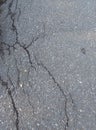 Photos of cracked asphalt the realities of modern life in time