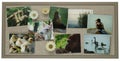 Notice Board with Animals Photos