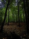 Photos of nature in the surroundings of Hamburg in autumn