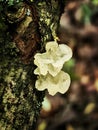 Photos of nature in the surroundings of Hamburg in autumn