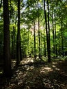 Photos of nature in the surroundings of Hamburg in autumn