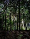 Photos of nature in the surroundings of Hamburg in autumn