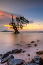 Photos panorama of Bintan wonderful indonesia Royalty Free Stock Photo