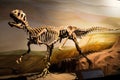 Photos of some dinosaur fossils replicas Royalty Free Stock Photo