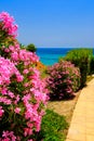 Photos of Spain July 2021, sea, beaches, summer landscape