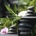 Photos of stones and plants. Zen and harmony Royalty Free Stock Photo