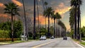 Photos of vehicles driving on the roadway of the famous Beverly Hills Palm Walk in the city of Los Angeles.