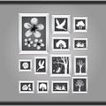 photos on a wall. Vector illustration decorative design Royalty Free Stock Photo