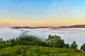 The beauty morning fog, sunrise, trees Royalty Free Stock Photo