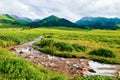 The brook in the high mountain meadow