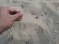 Young man's hands are picking up and playing with sand on the beach Royalty Free Stock Photo