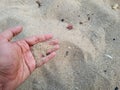 Young man's hands are picking up and playing with sand on the beach Royalty Free Stock Photo