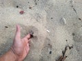 Young man's hands are picking up and playing with sand on the beach Royalty Free Stock Photo