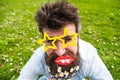 Photosession concept. Hipster with beard on cheerful face, posing with star shaped glasses and lips. Guy looks nicely Royalty Free Stock Photo