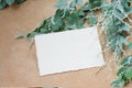 Photostock wedding styled composition. Feminine desktop mockup scene with eucalyptus leaves, silk ribbon, blank greeting card on c