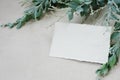 Photostock wedding styled composition. Feminine desktop mockup scene with eucalyptus leaves, silk ribbon, blank greeting card on c