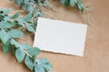 Photostock wedding styled composition. Feminine desktop mockup scene with eucalyptus leaves, silk ribbon, blank greeting card on c