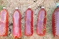 photosybthetic bacteria (PSB), red water in plastic bottle is organic fertilizer use for grow plant