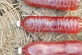 photosybthetic bacteria (PSB), red water in plastic bottle is organic fertilizer use for grow plant