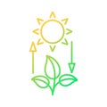 Photosynthesis gradient linear vector icon