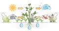 Photosynthesis process with plants carbon dioxide absorption outline concept