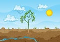 Photosynthesis process. Tree produce oxygen using rain and sun. Diagram showing process of photosynthesis in plant