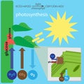 Photosynthesis process