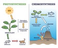 Photosynthesis vs chemosynthesis process chain description outline diagram