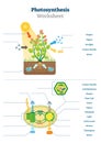Photosynthesis worksheet vector illustration. Blank oxygen process template
