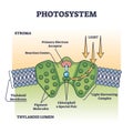 Photosystem process as chemical light absorption in plants outline diagram Royalty Free Stock Photo