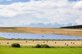 Photovoltaic modules at the yellow field. Royalty Free Stock Photo