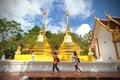 Phra that Doi Tung