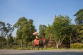 Phra Nakhon Si Ayutthaya Historical Park in Thailand Royalty Free Stock Photo