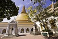 Phra Pathom Chedi Royalty Free Stock Photo