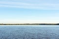 Phragmites reed in the coast of Rio de la Plata River