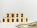 Phrase 2021 BUDGET on wooden cubes with coins and dollar bank notes isolated on white background.