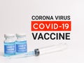 Phrase CORONA VIRUS COVID 19 VACCINE written on white background